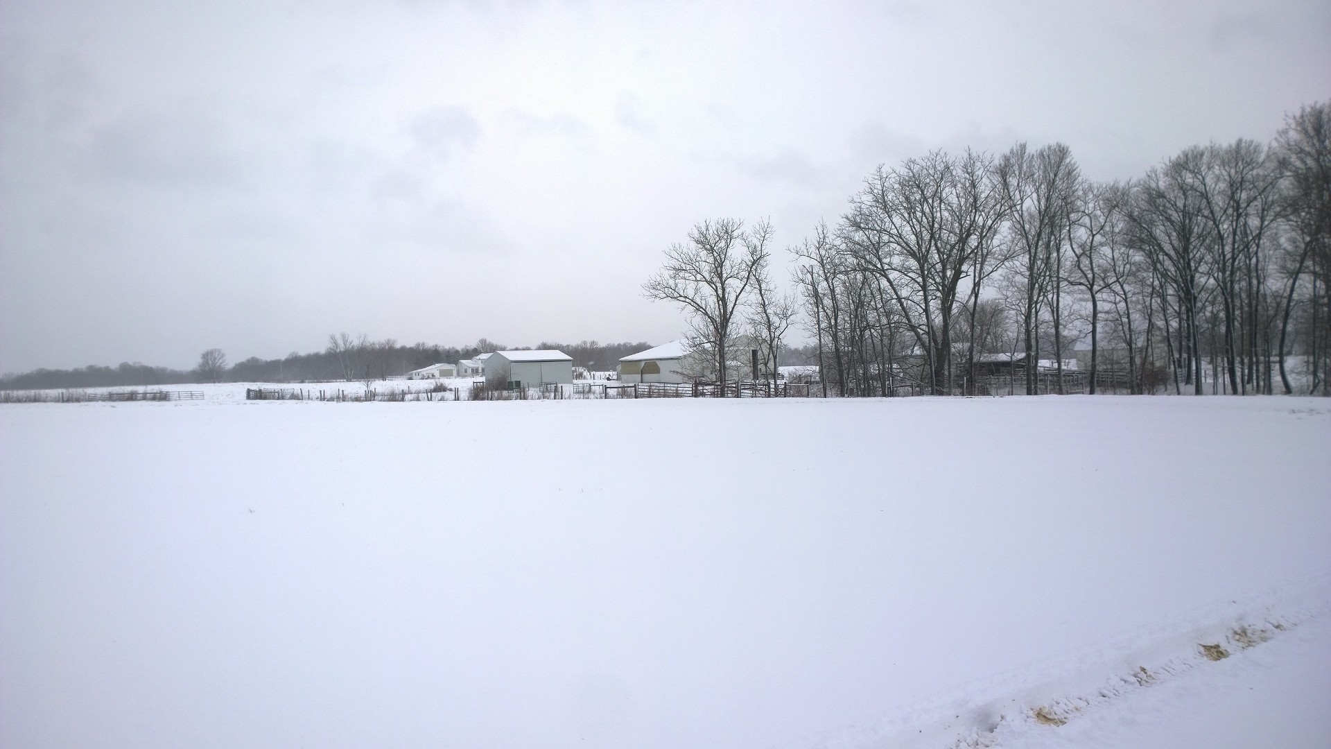 Snowy Adventure Farm